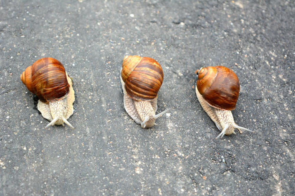 the greatest threat to CRM systems is slow adaption